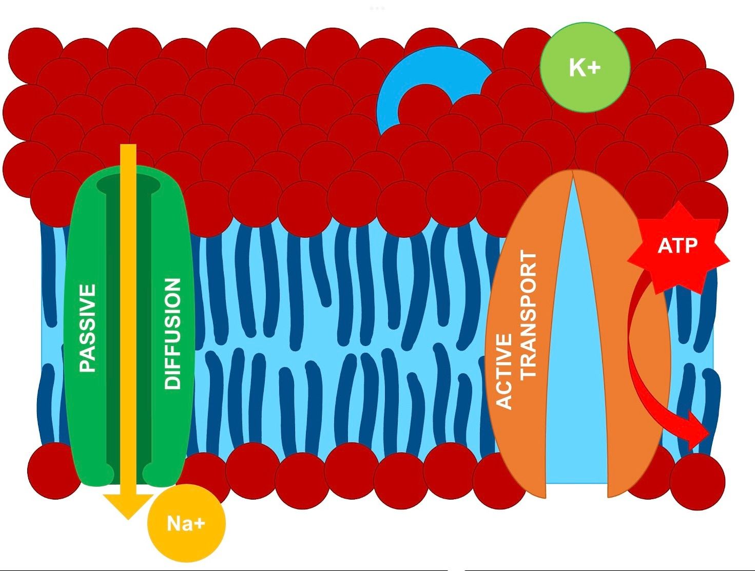 ‘We Are Electric’ by Sally Adee — A Holistic Inquiry into Bioelectrical Revolution