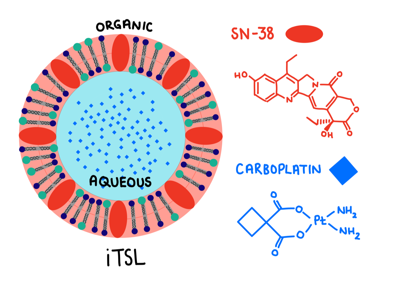 Novel Image-guided Nanoparticles Poised for Cancer Clinical Trials