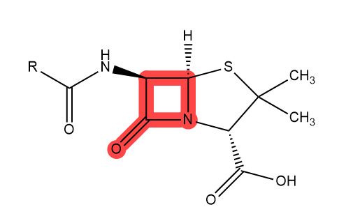 Antibiotic resistance: The Gordian knot of the 21st Century