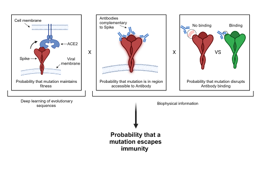 Fighting Viral Evolution in Real Time