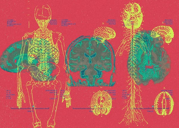 Is Pain Really Painful? Let’s Ask Our Minds