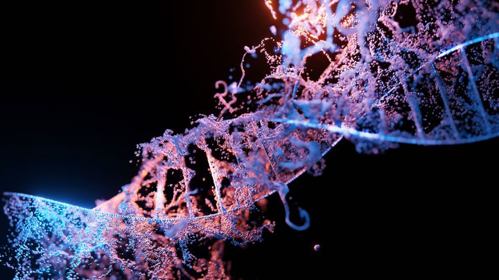 DNA Mutations Through the Lens of Quantum Physics