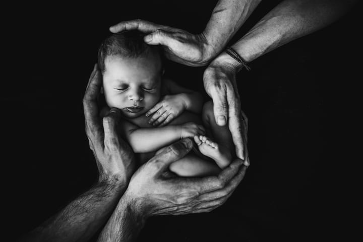The Origin of Disease from the Womb: Developmental Programming